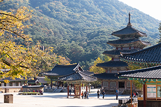 俗離山法住寺